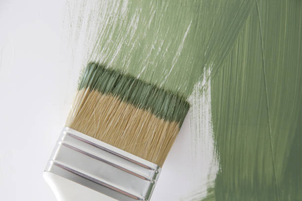 Best Water Damage & Mold Remediation  in Coral Gables, FL