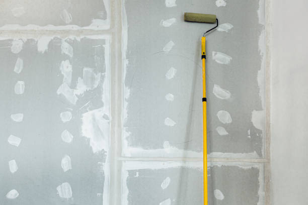 Best Attic Mold Removal  in Coral Gables, FL