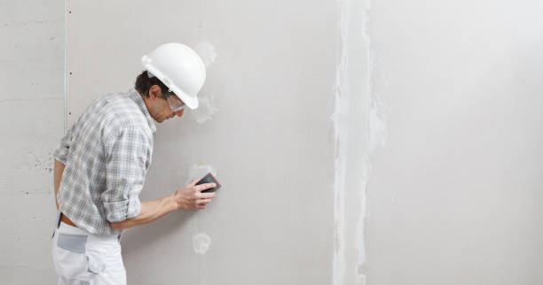 Best Mold Odor Removal Services  in Coral Gables, FL