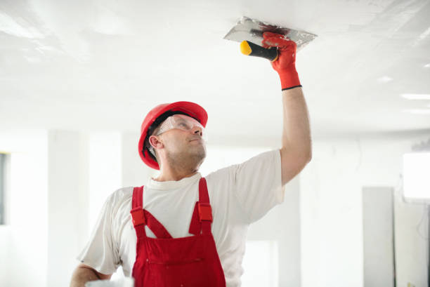 Reliable Coral Gables, FL Mold Removal Solutions