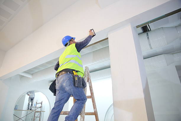 Best Mold Damage Restoration  in Coral Gables, FL
