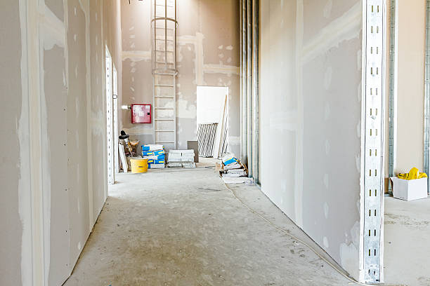 Best Post-Construction Mold Inspection  in Coral Gables, FL